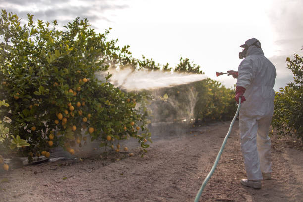 Best Pest Control for Homes  in Parsons, KS