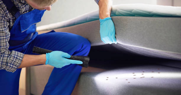 Best Termite Control Services  in Parsons, KS