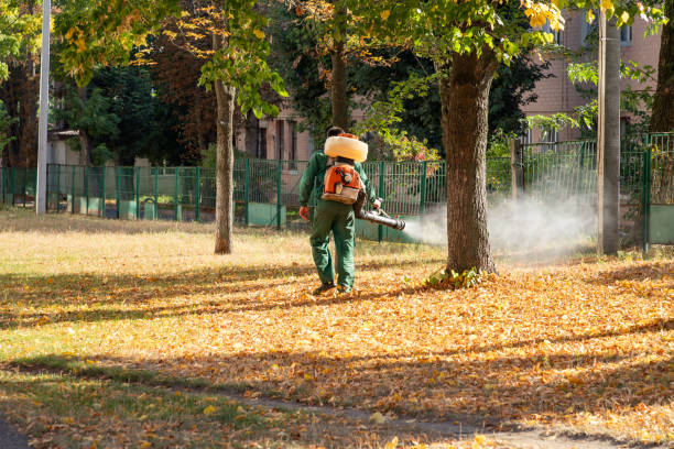 Best Flea Control Services  in Parsons, KS