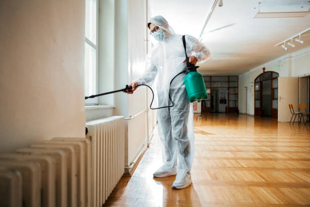 Best Bed Bug Extermination  in Parsons, KS