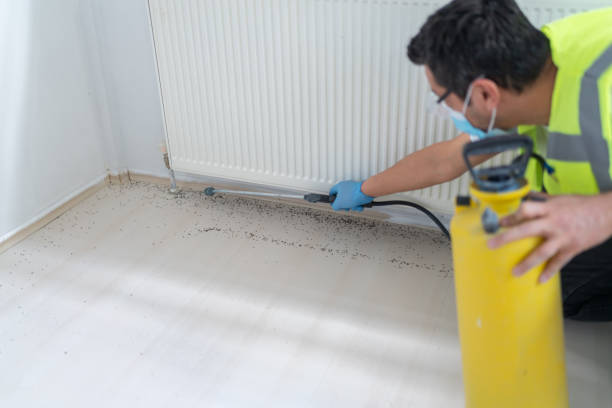 Best Exterminator Services  in Parsons, KS