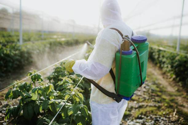 Best Emergency Pest Control  in Parsons, KS
